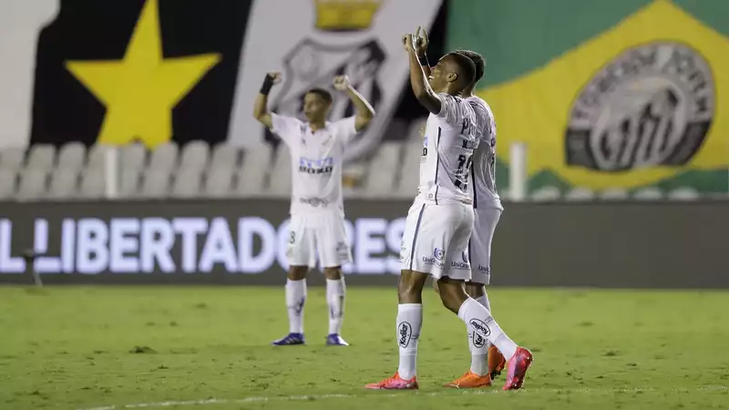 Copa Libertadores Final Live Stream: How to Watch Palmeiras vs Santos