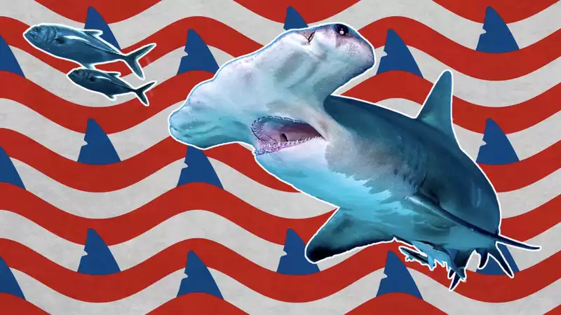 How to watch Shark Week2020 online: Schedule your TV, where to stream, and more