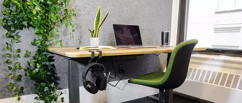 Bali Electric Standing Desk Review