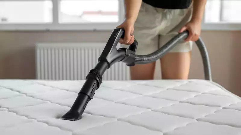 Ask the Expert: Will vacuuming my mattress eliminate bed bugs?