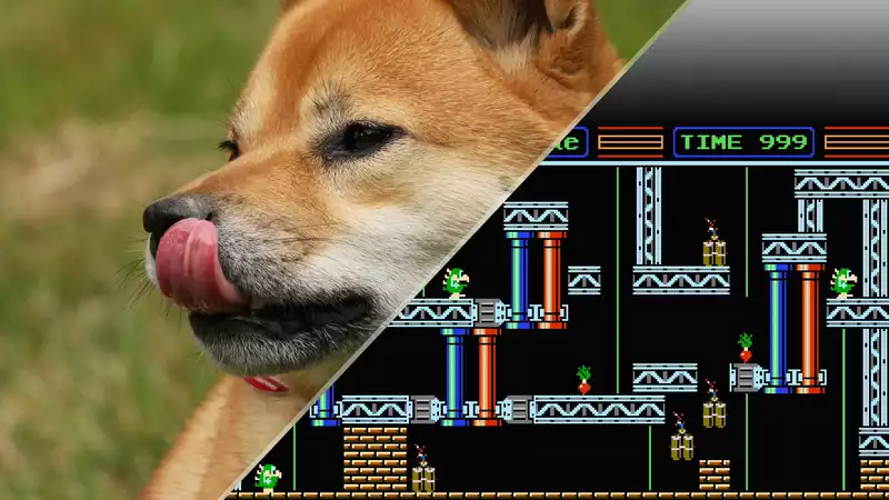 It's official - dogs are now better at video games than humans.